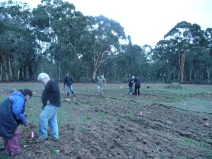 Yaraandoo_2009 07 11_0689