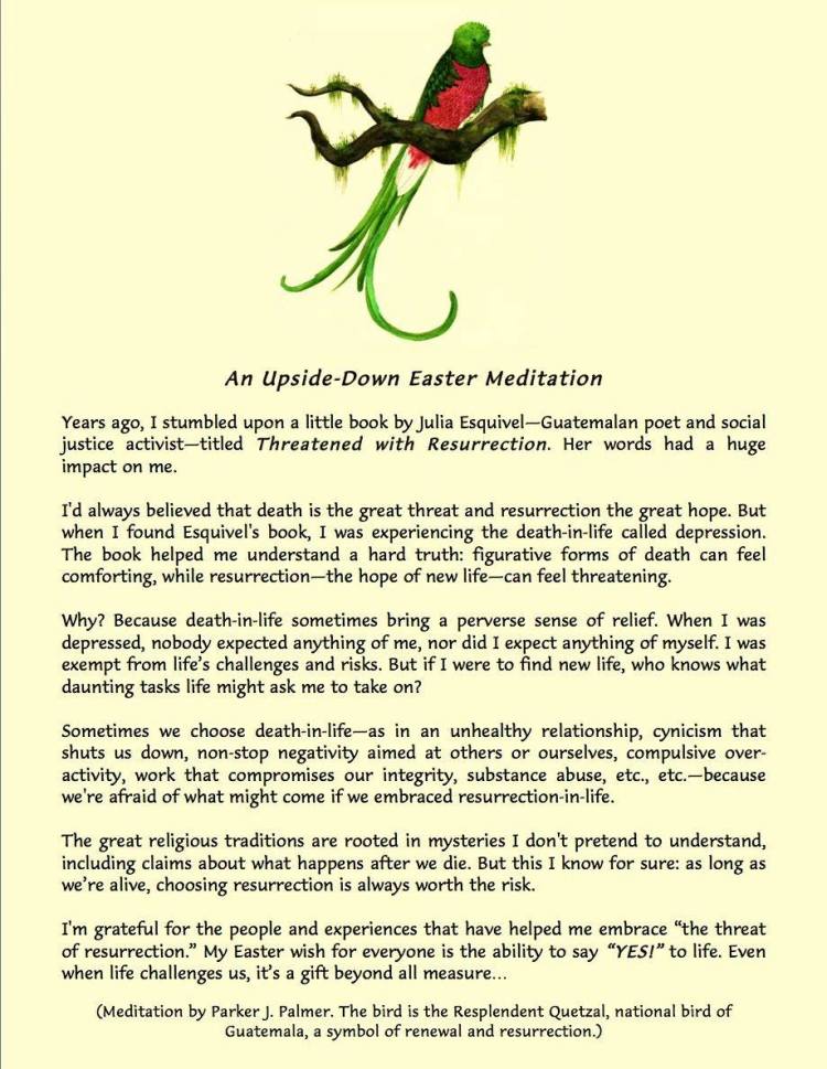 1962076_10152046227702078_7036543951728338456_o