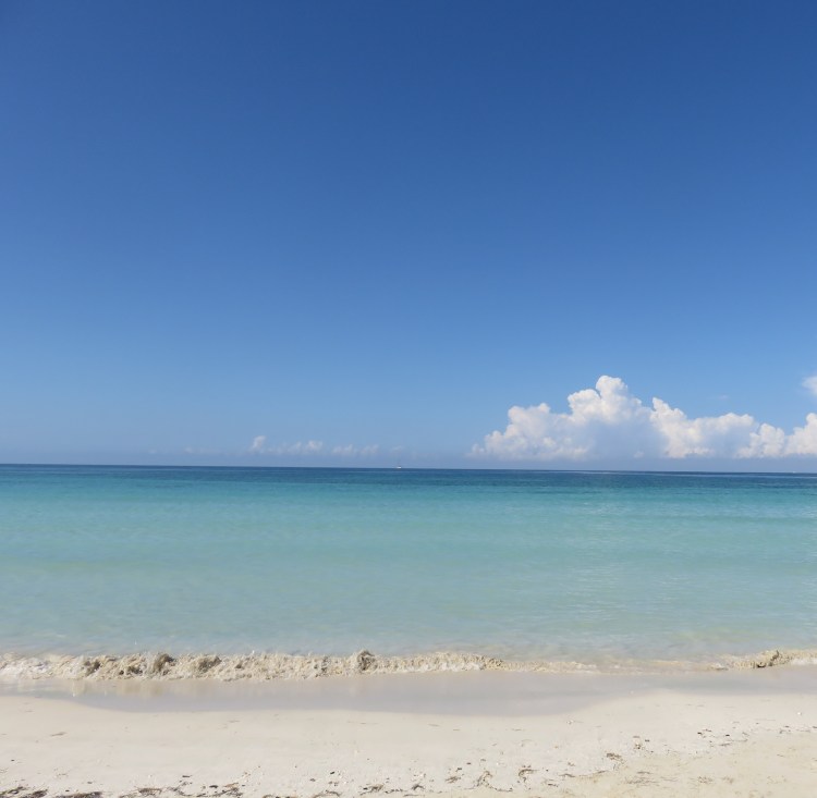 jamaica-jan-5-12-2019-025.jpg